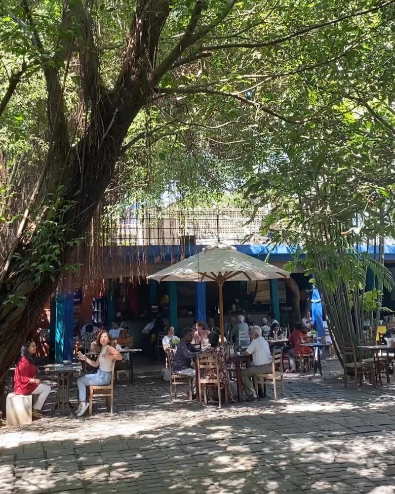 Barefoot Garden Cafe